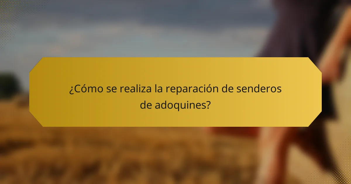 ¿Cómo se realiza la reparación de senderos de adoquines?