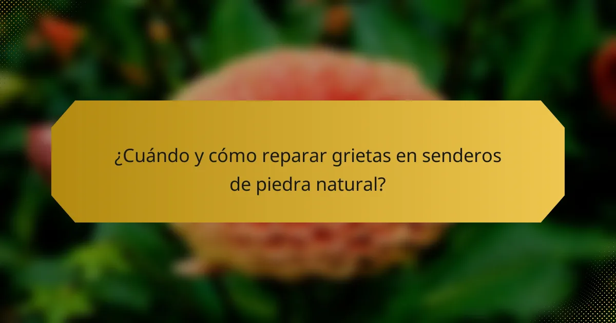 ¿Cuándo y cómo reparar grietas en senderos de piedra natural?