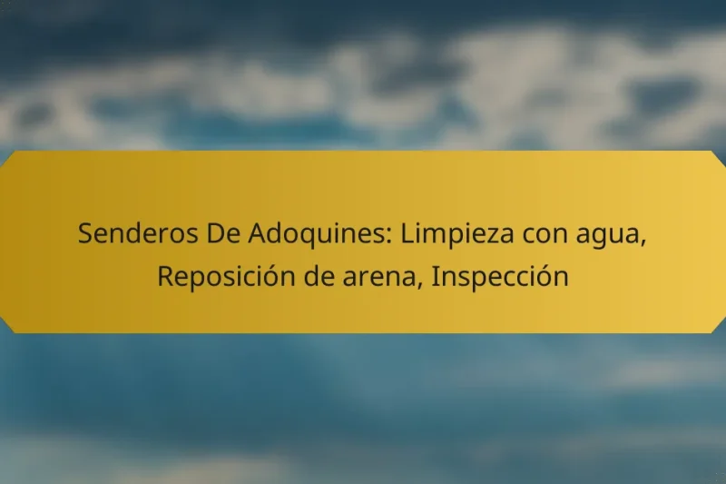 Senderos De Adoquines: Limpieza con agua, Reposición de arena, Inspección