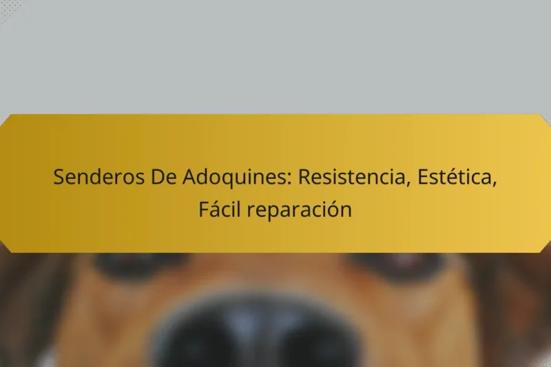 Senderos De Adoquines: Resistencia, Estética, Fácil reparación