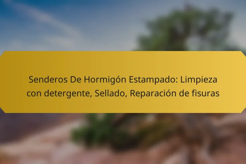 Senderos De Hormigón Estampado: Limpieza con detergente, Sellado, Reparación de fisuras