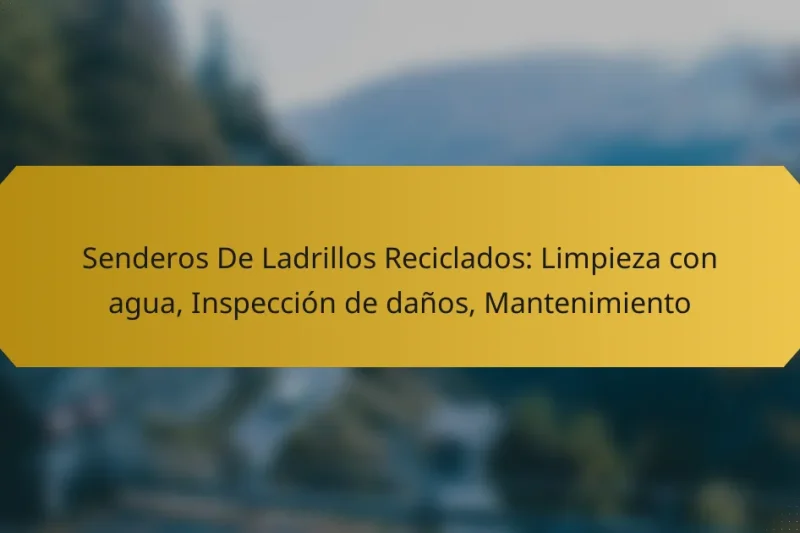 Senderos De Ladrillos Reciclados: Limpieza con agua, Inspección de daños, Mantenimiento