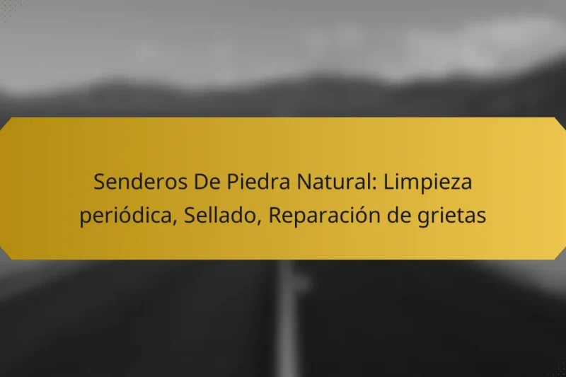 Senderos De Piedra Natural: Limpieza periódica, Sellado, Reparación de grietas