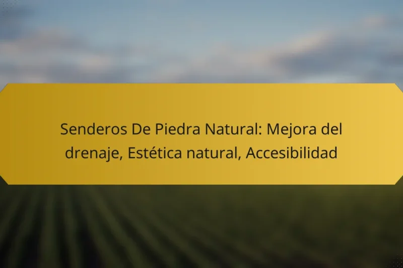 Senderos De Piedra Natural: Mejora del drenaje, Estética natural, Accesibilidad