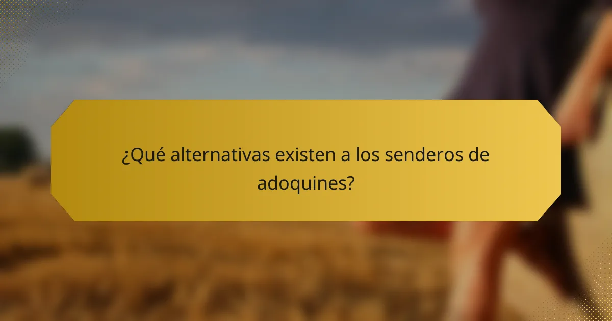 ¿Qué alternativas existen a los senderos de adoquines?