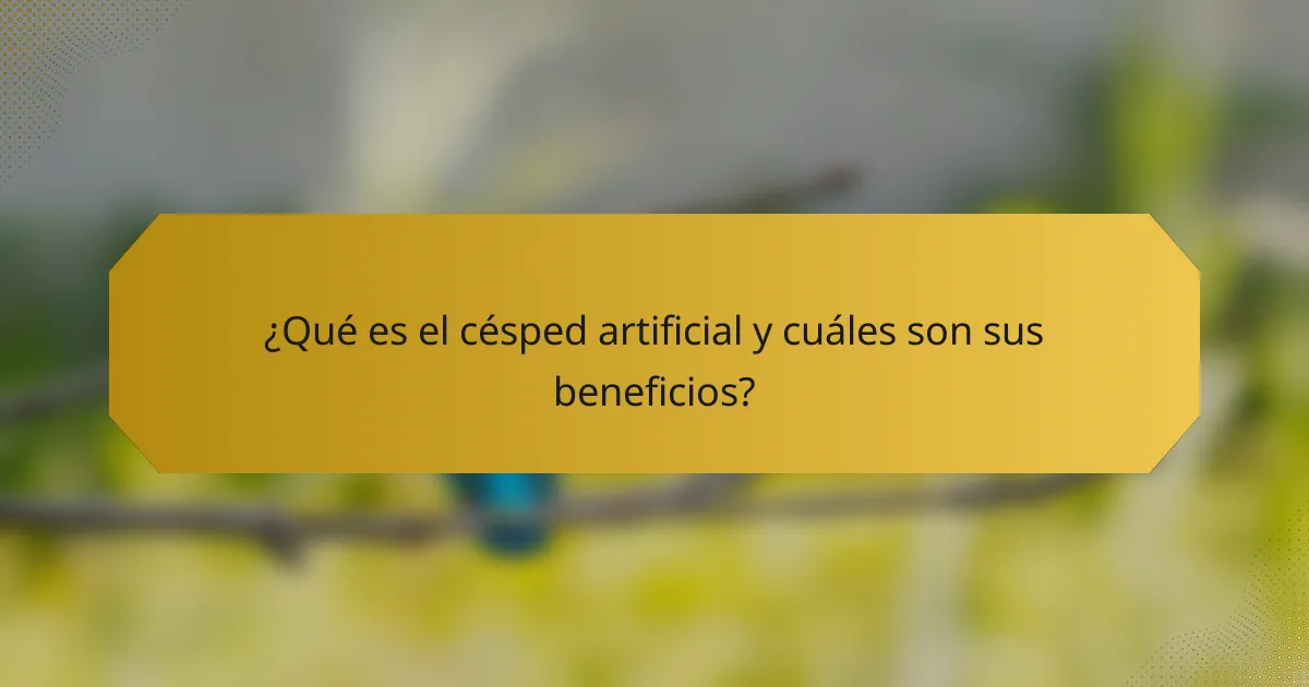 ¿Qué es el césped artificial y cuáles son sus beneficios?