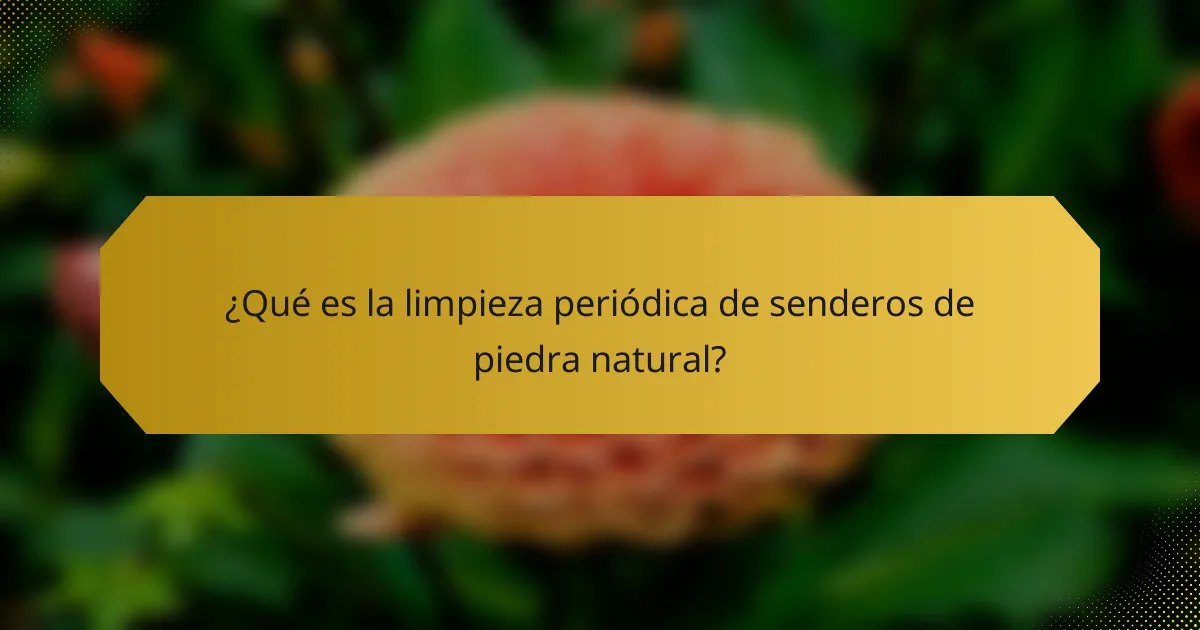 ¿Qué es la limpieza periódica de senderos de piedra natural?