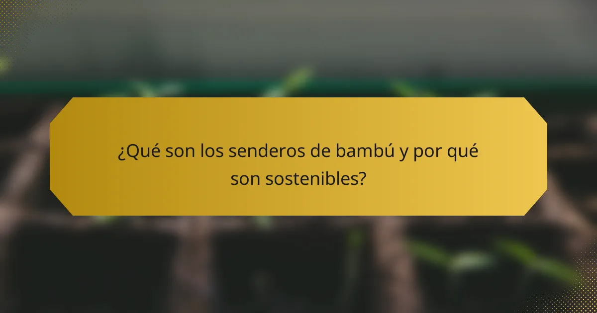 ¿Qué son los senderos de bambú y por qué son sostenibles?